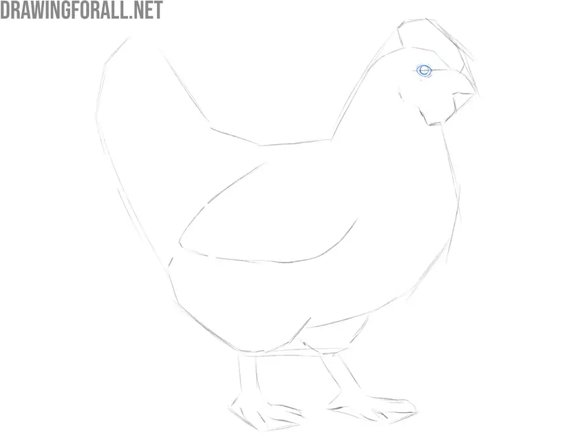Draw the eye of the chicken