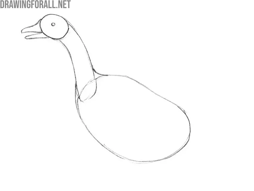 Draw the eye and beak of the goose