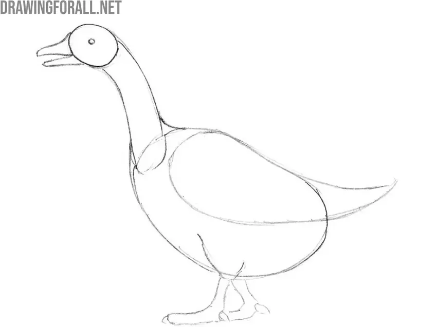 Draw the goose legs