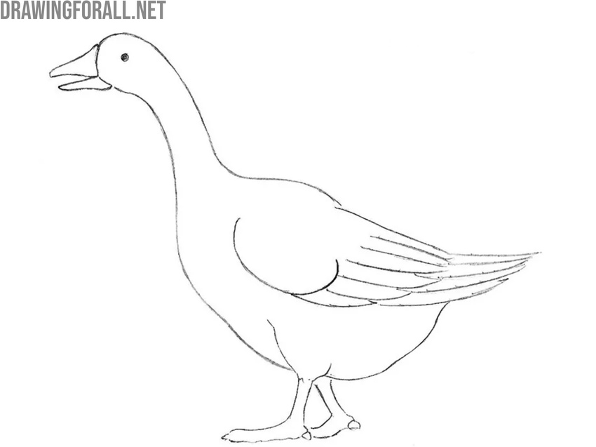 Refine the legs and claws