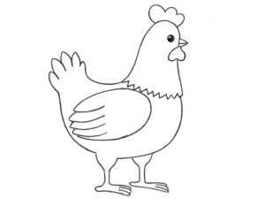 how to draw a cartoon chicken featured image