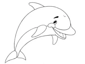 how to draw a cartoon dolphin featured image