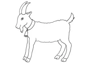 how to draw a cartoon goat featured image