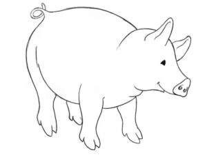 how to draw a cartoon pig featured image