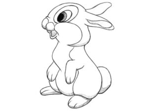 how to draw a cartoon rabbit featured image