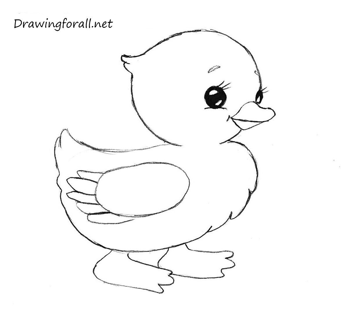 How to Draw an Easy Chicken  Easy Drawing Tutorial For Kids