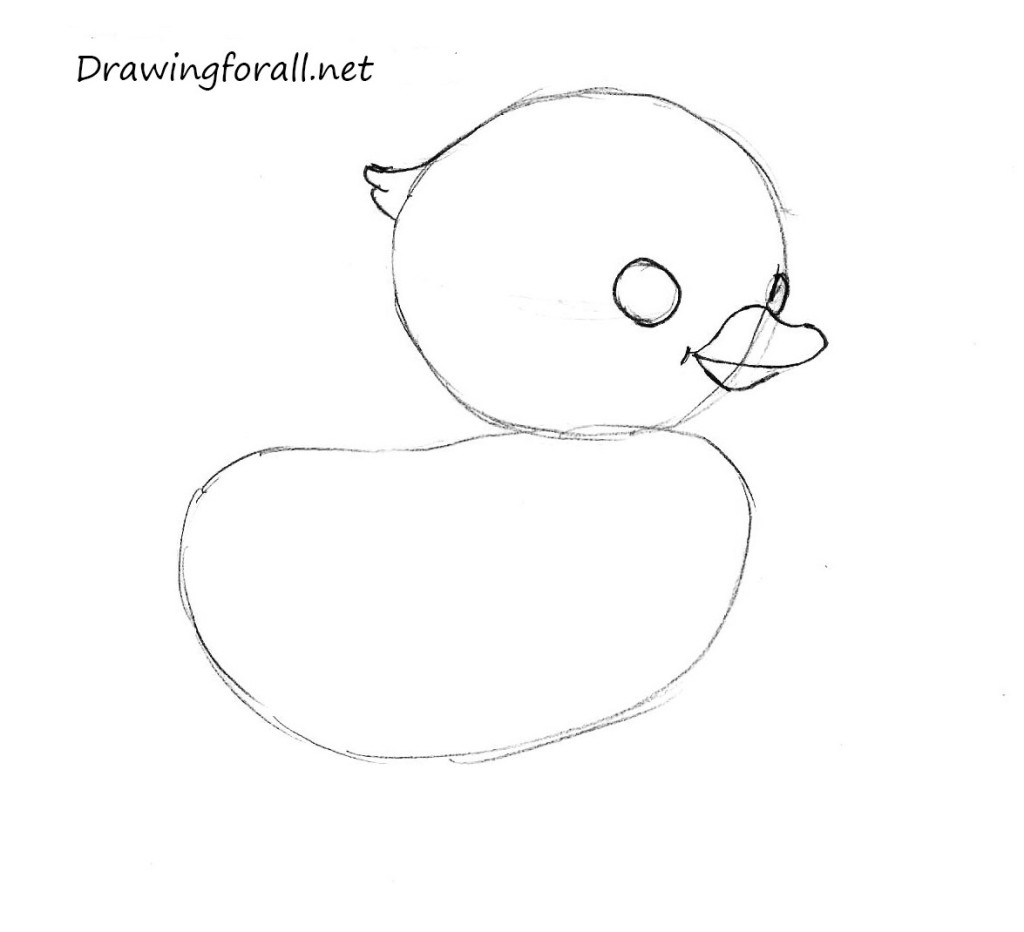 how_to_draw_a_chicken_by_pencil