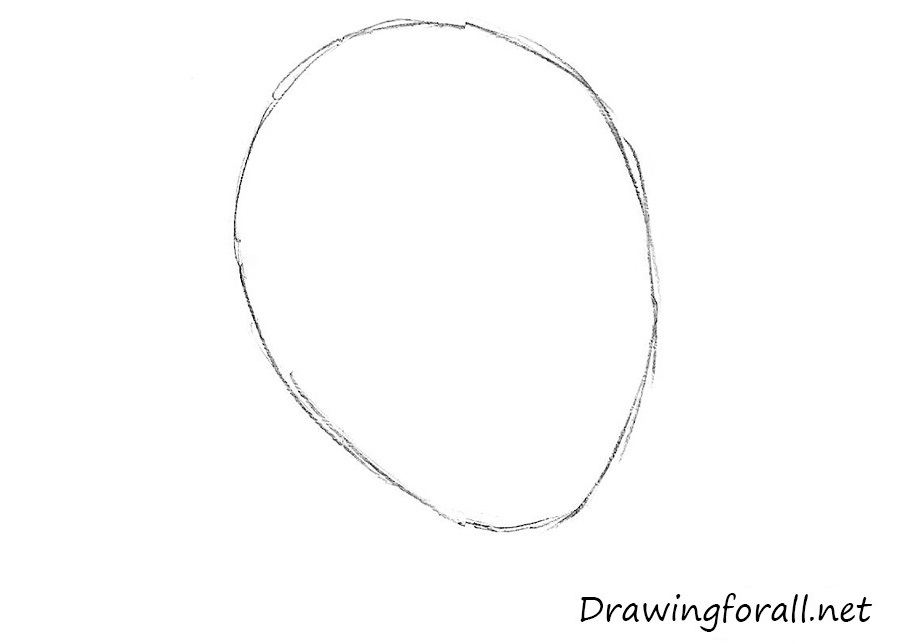 Sketch the rounded shape of the head