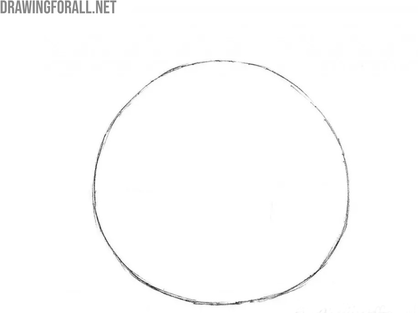 Sketch the main round form