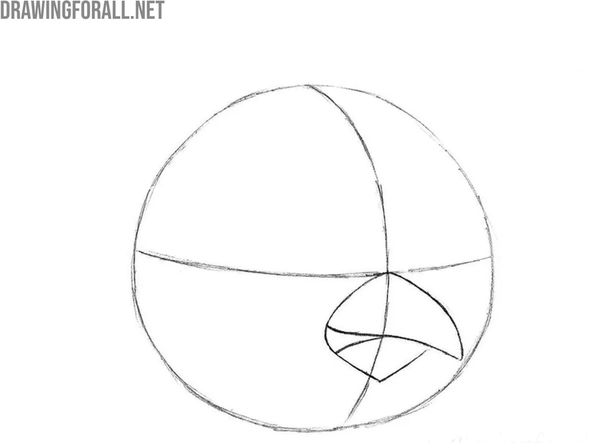 Draw the beak of the Red Bird