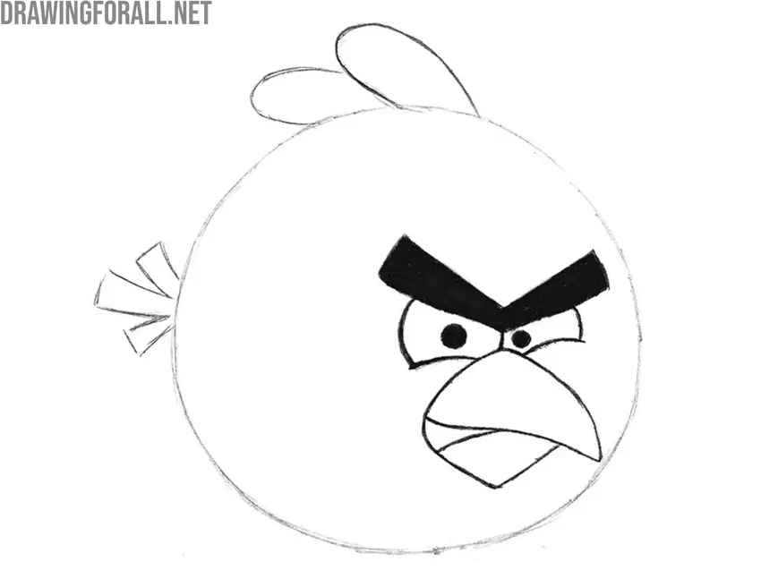 Draw the feathers of the Red Bird