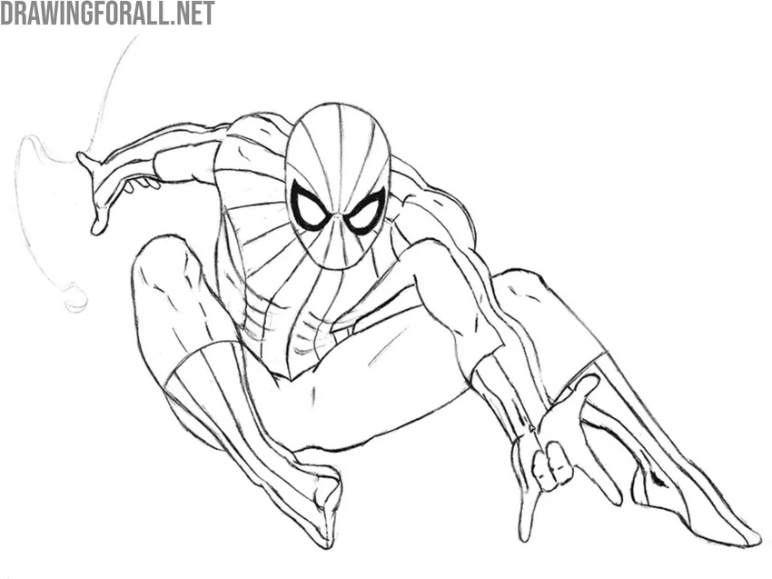 Sketch the radial web lines