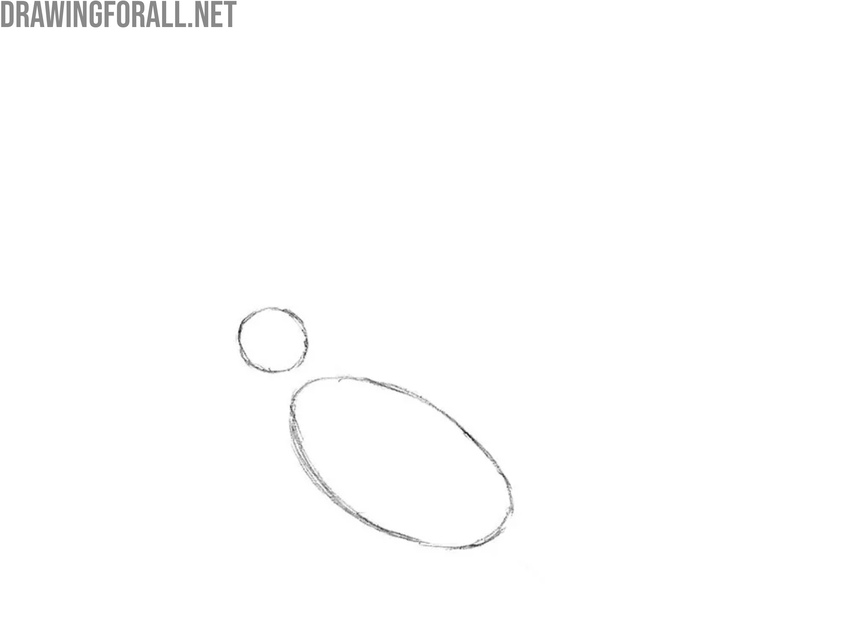 Sketch the bird’s head and body