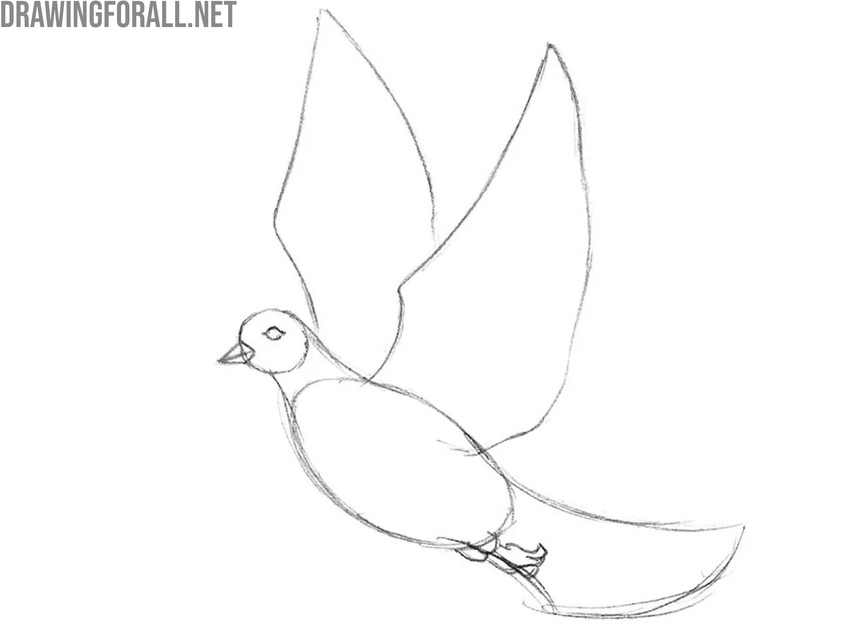 Draw the legs of the dove