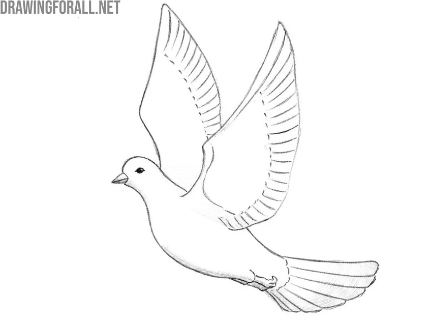 Add shading to the flying bird