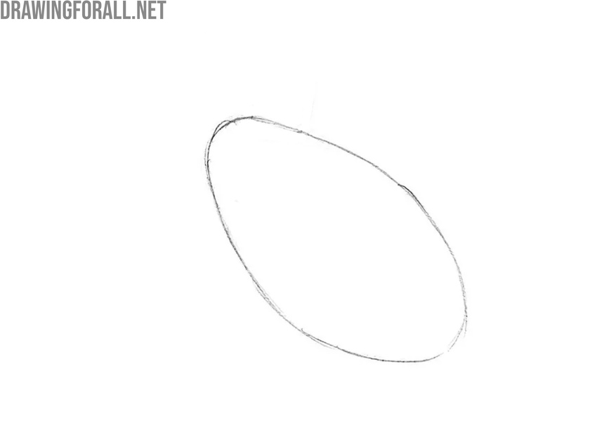 Sketch the torso of the bird