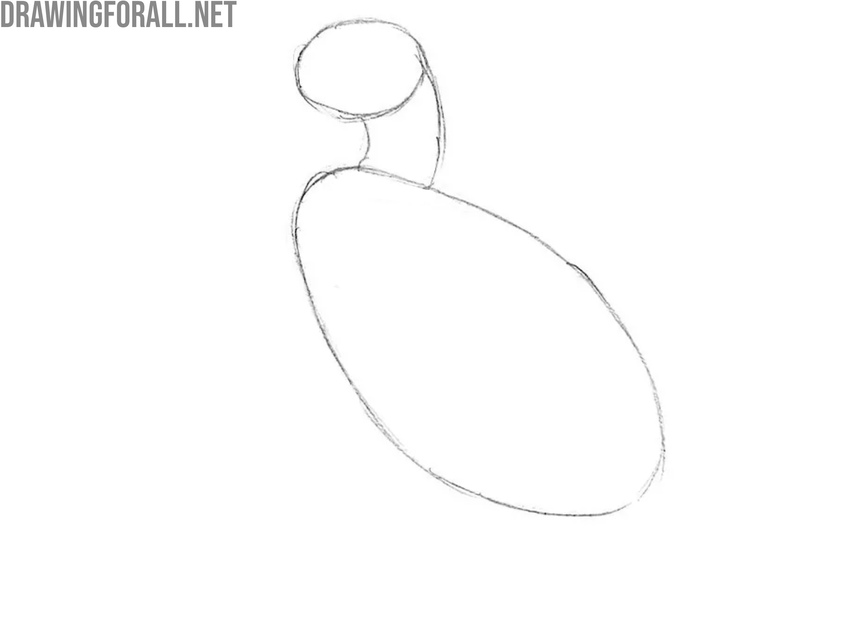 Draw the head and neck of the duck