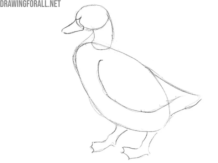 Draw the legs of the duck