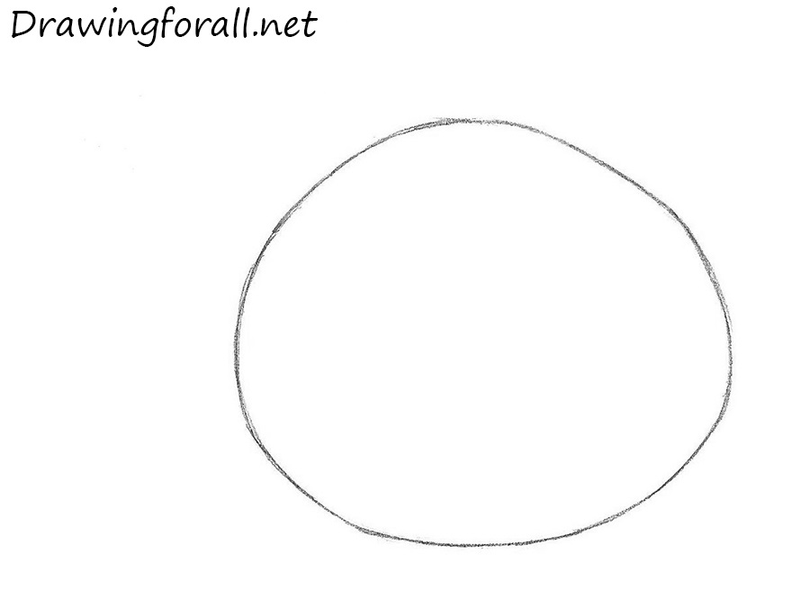 Sketch the spherical head of the pig