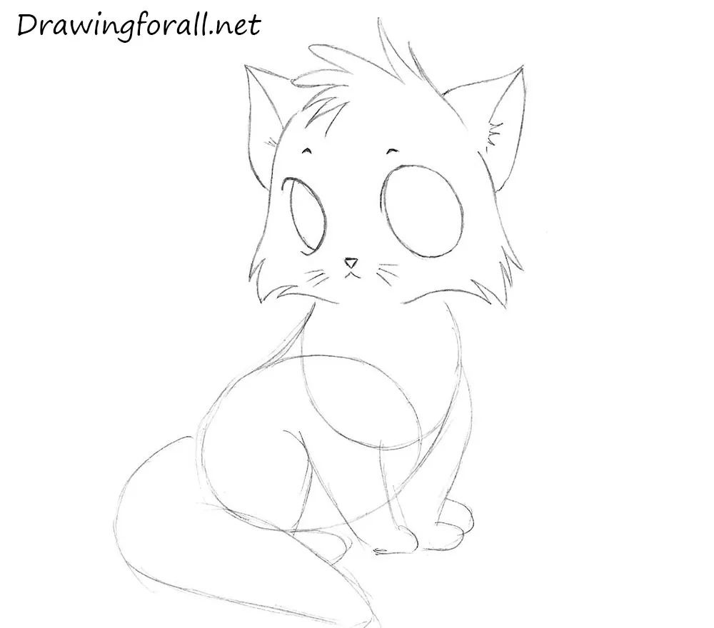 How to Draw a Cartoon Cat for Kids How to Draw a Cartoon Cat for Kids