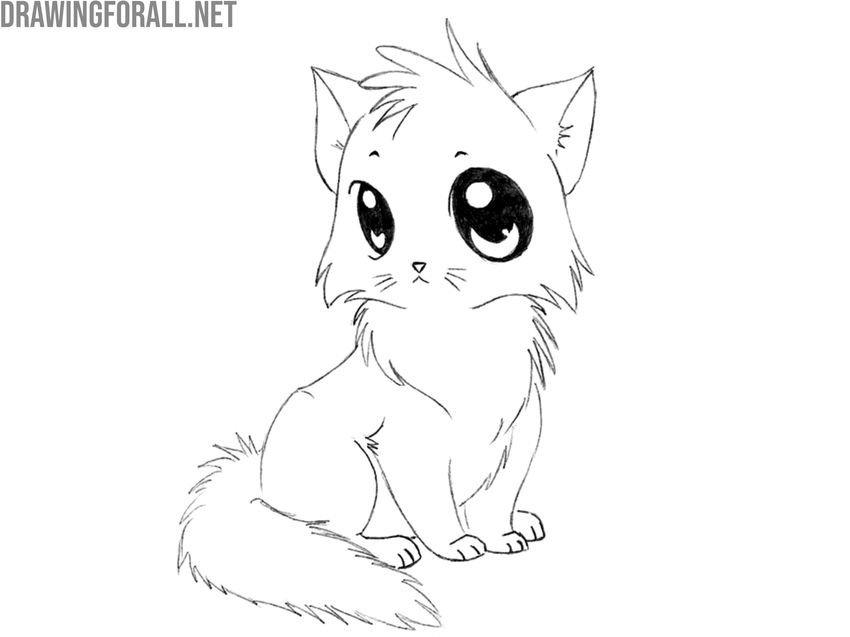 Finalize the cartoon kitten drawing