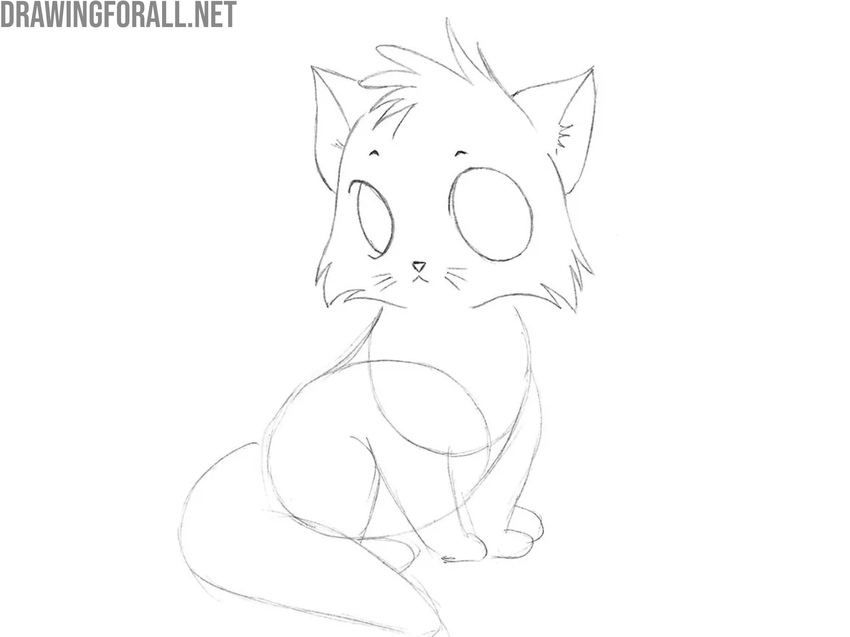 Refine the kitten’s head and ears