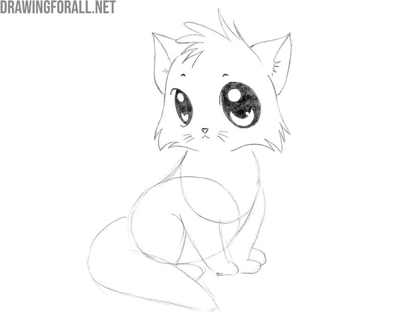 Detail and darken the kitten’s eyes