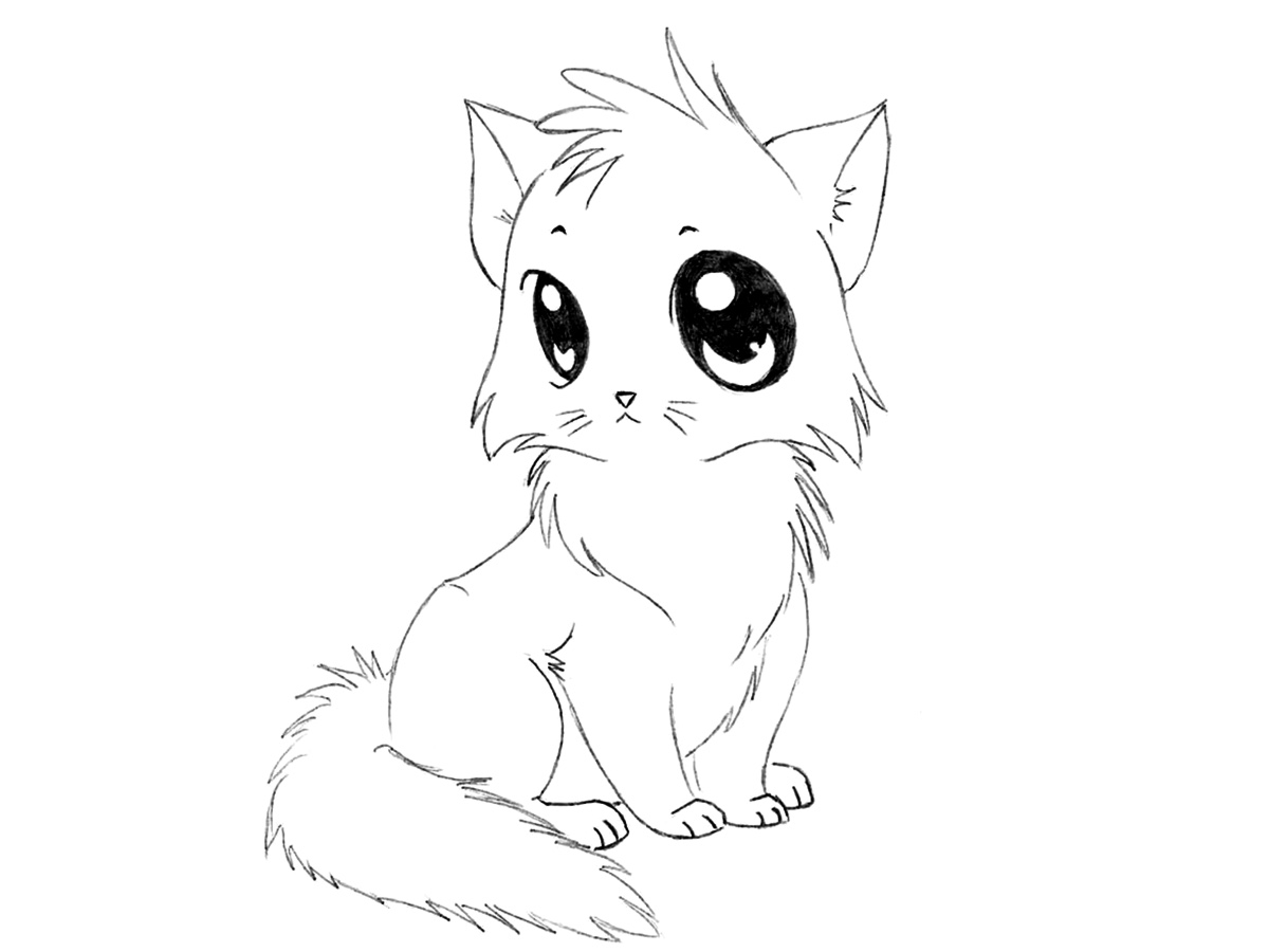 how to draw a cartoon kitten featured image