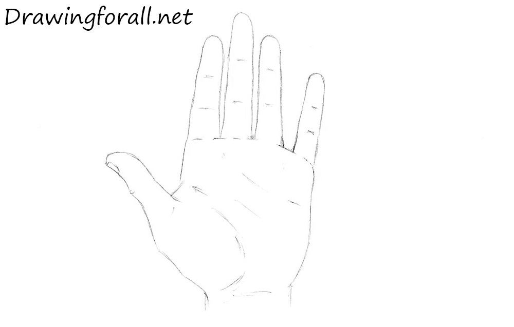 how to draw a palm