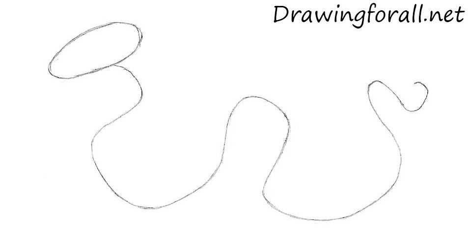 how to draw a cartoon snake