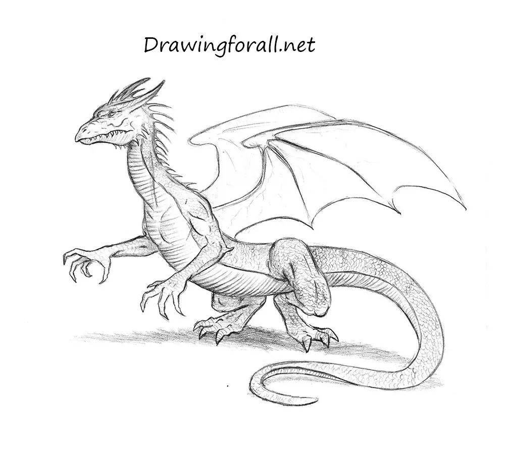 How to Draw a Dragon