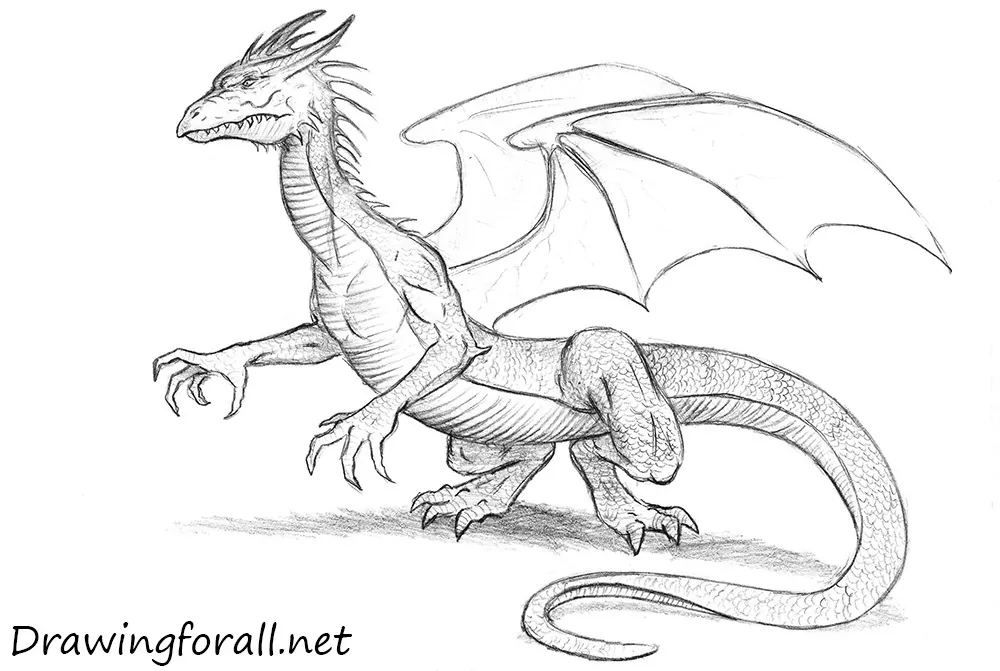 How to Draw Dragons – 50 Best Dragon Drawing Tutorials