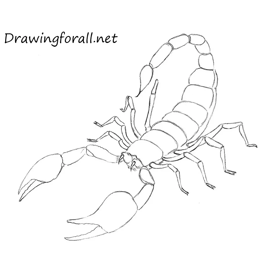 How to Draw a Scorpion