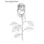 How To Draw A Dress Step By Step For Beginners