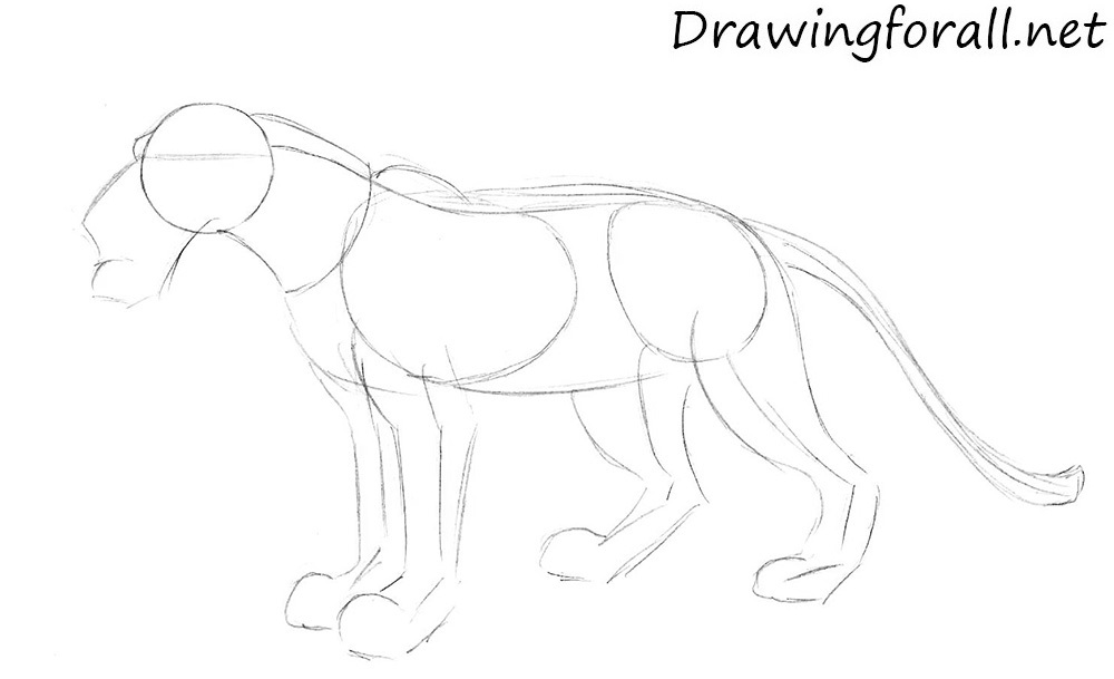 How to Draw Shere Khan step by step