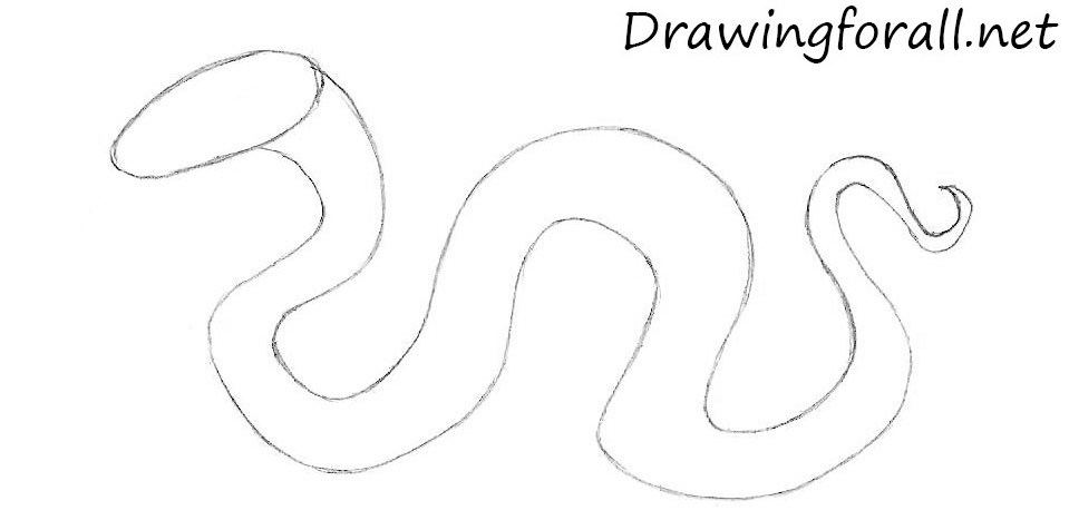 how to draw a cartoon snake step by step
