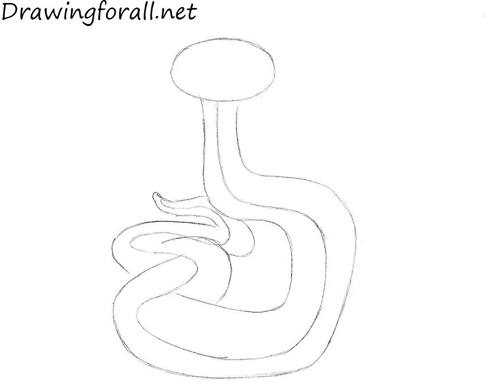 how to draw a cartoon snake step by step