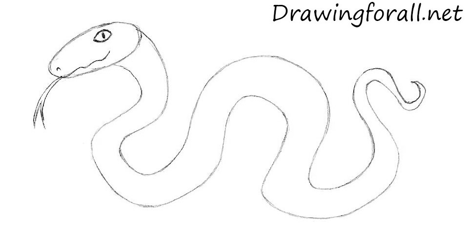 how to draw a cartoon snake for kids