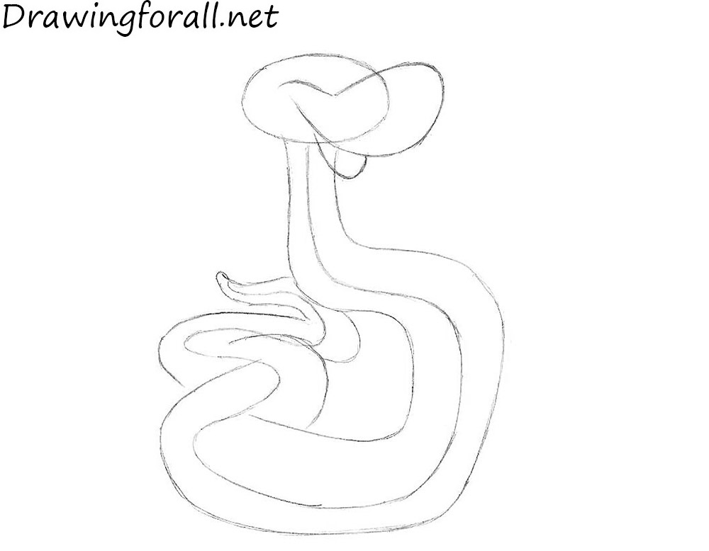 how to draw a cartoon snake with a pincil