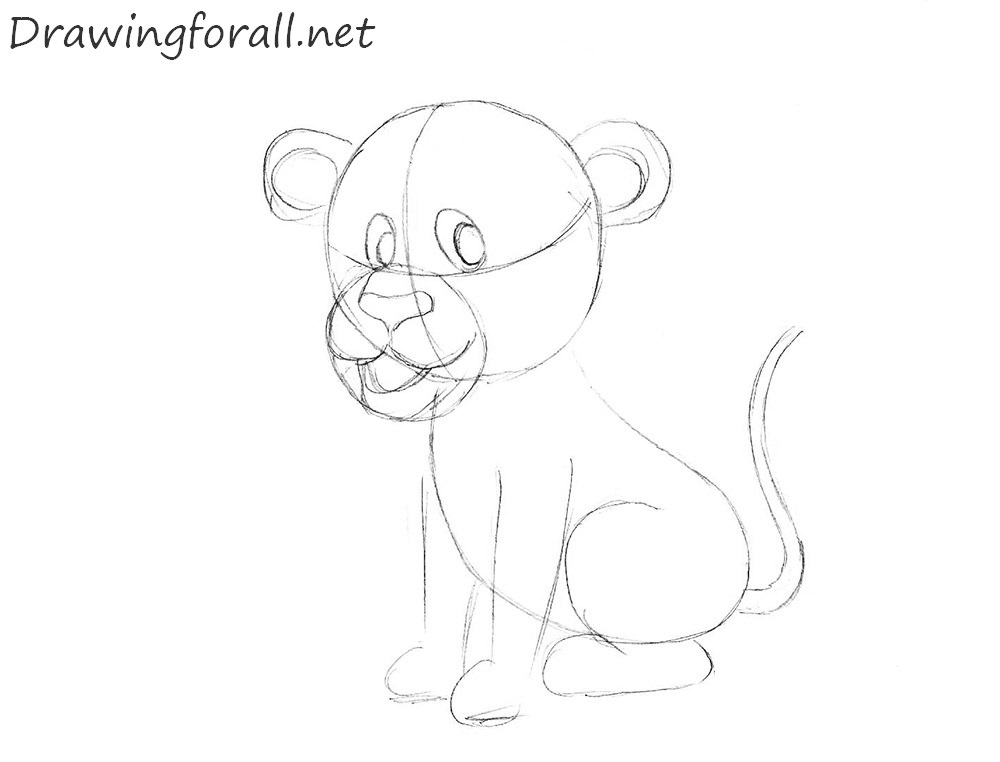 How to Draw a cartoon Lion