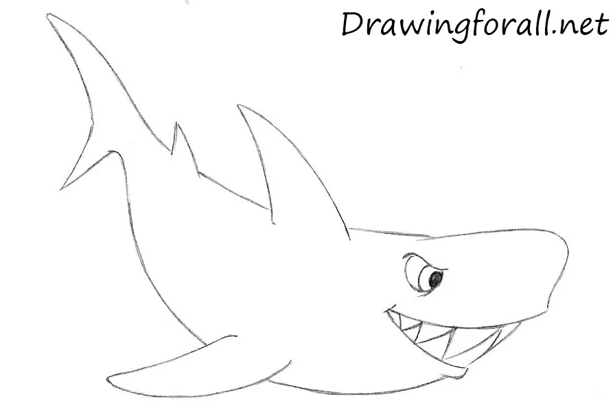 How to Draw a Cartoon Shark