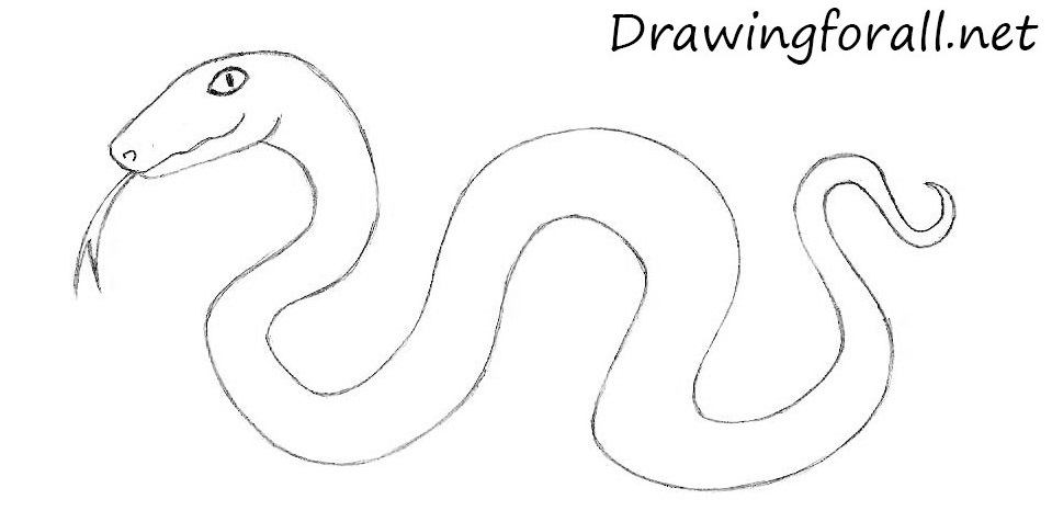 how to draw a cartoon snake with a pencil