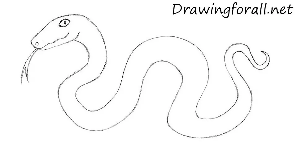 how to draw a cartoon snake with a pencil