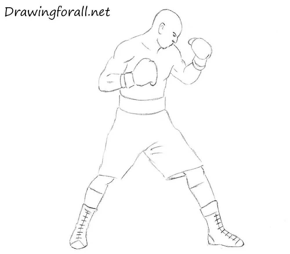 How to draw a boxer for beginners