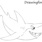 How to Draw a Cartoon Shark