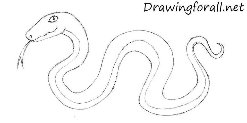 how to draw a cartoon snake step by step