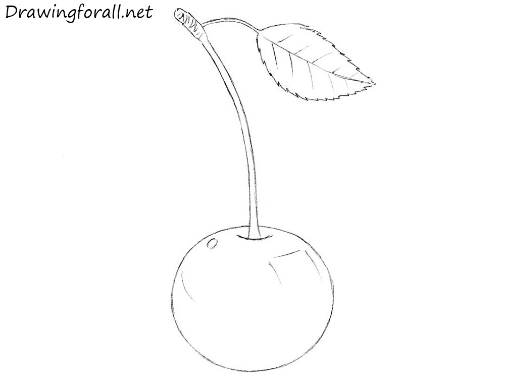 how to draw a cherry with a pencil