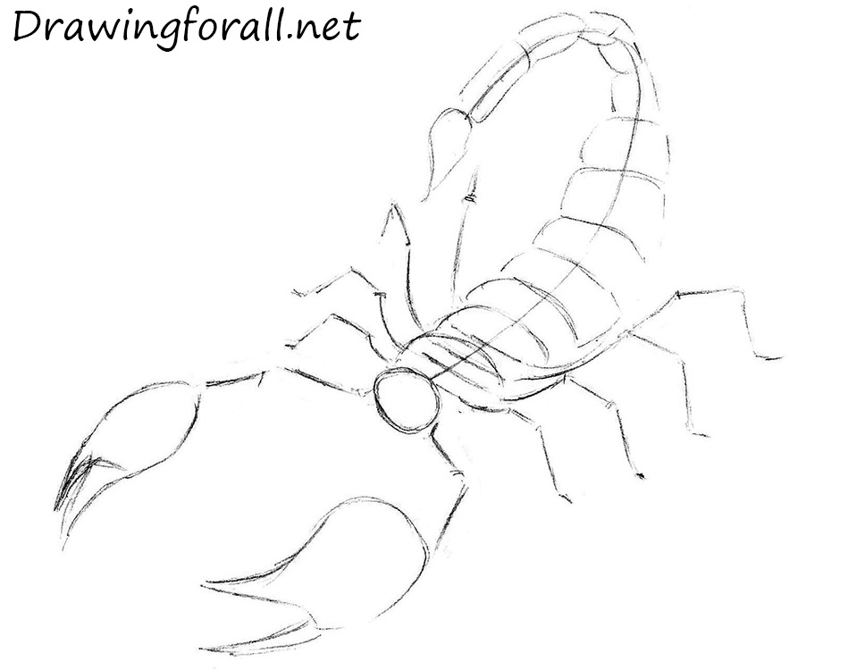 how to draw scorpion