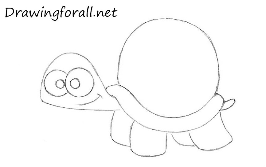 How to Draw a Cartoon Turtle