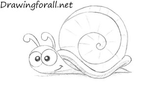 How to Draw a Cartoon Snail